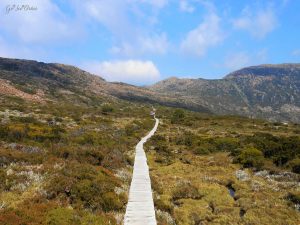 tasmania, australia, Mount Field National Park