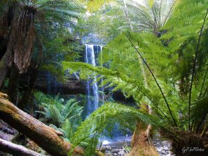 tasmania, australia, Russel Falls