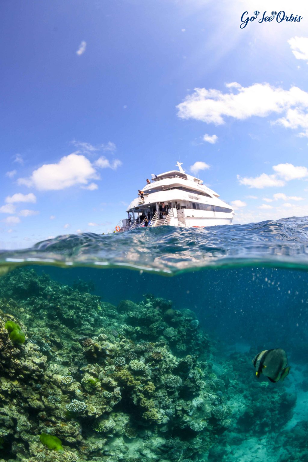 A guide to exploring The Great Barrier Reef in Australia - Go See Orbis